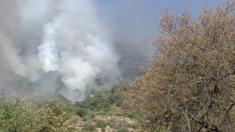 El incendio de El Real de San Vicente afecta a unas 700 hectáreas