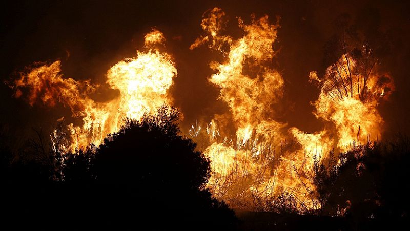 Los incendios forestales queman 165.000 hectáreas en el "peor" año