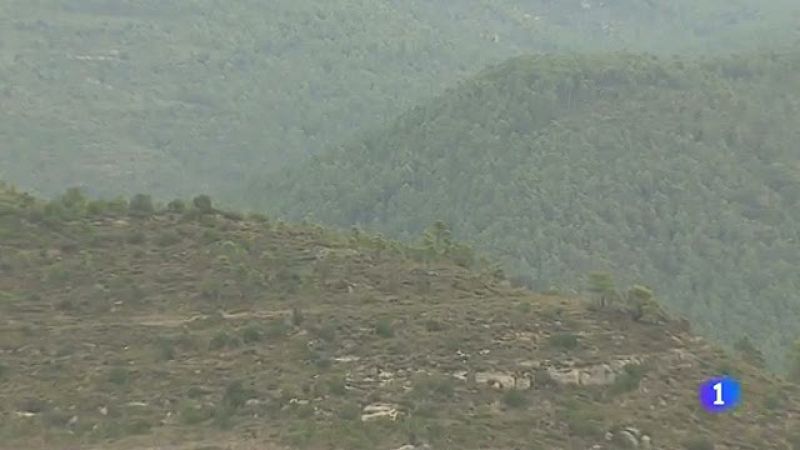 Condenan a Endesa a pagar 37 millones por un incendio forestal en Barcelona en 1994