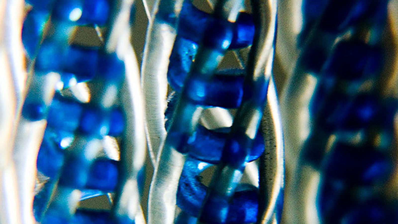 Científicos internacionales describen el mapa del genoma humano | Ver