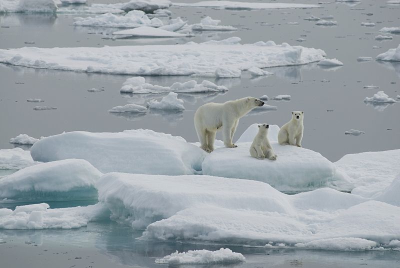 Los desafíos del planeta, a debate en el Congreso Mundial de la Naturaleza