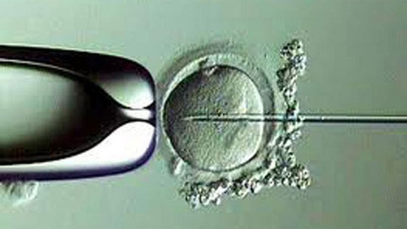 Sanidad estudia si saca de la cartera básica tratamientos como los de fertilidad y rehabilitación