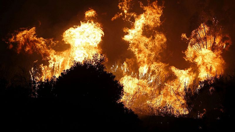 El Gobierno aprobará este viernes un decreto para paliar los daños causados por los incendios