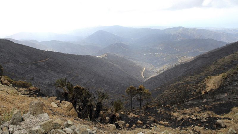 Los parados podrán ser requeridos para la reconstrucción y limpieza tras los incendios