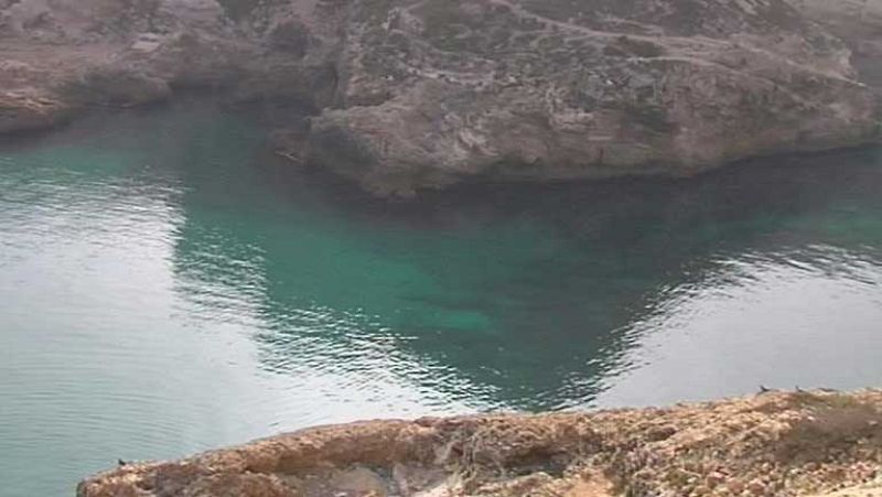 Hallan el cadáver de una niña subsahariana de unos 4 años en aguas de Melilla