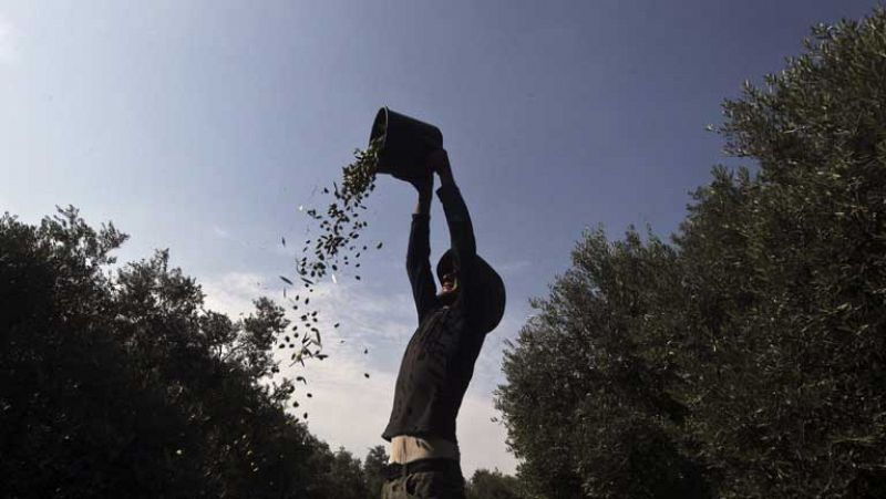 El Gobierno regulará los precios de los productos agroalimentarios, que deberán pactarse por escrito
