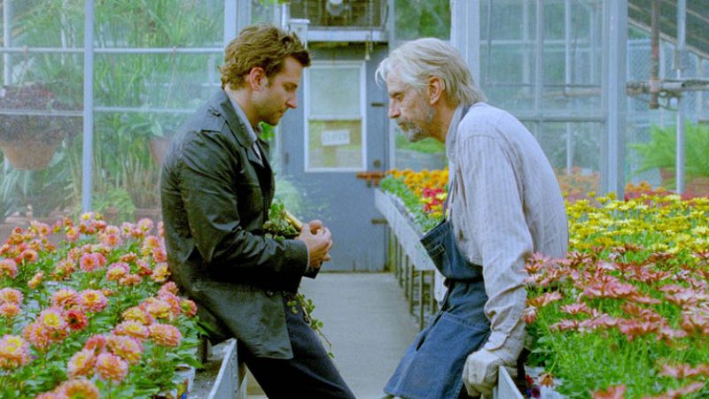 Bradley Cooper y Jeremy Irons clausuran la Seminci con 'El ladrón de palabras'
