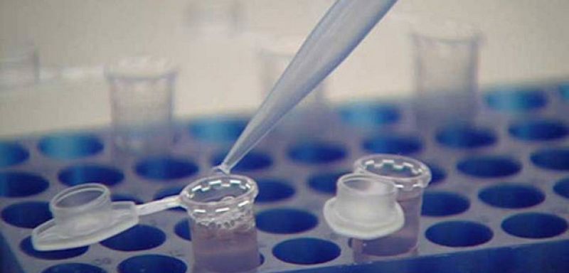 Un grupo de científicos desarrolla una técnica que aumenta la producción de células madre