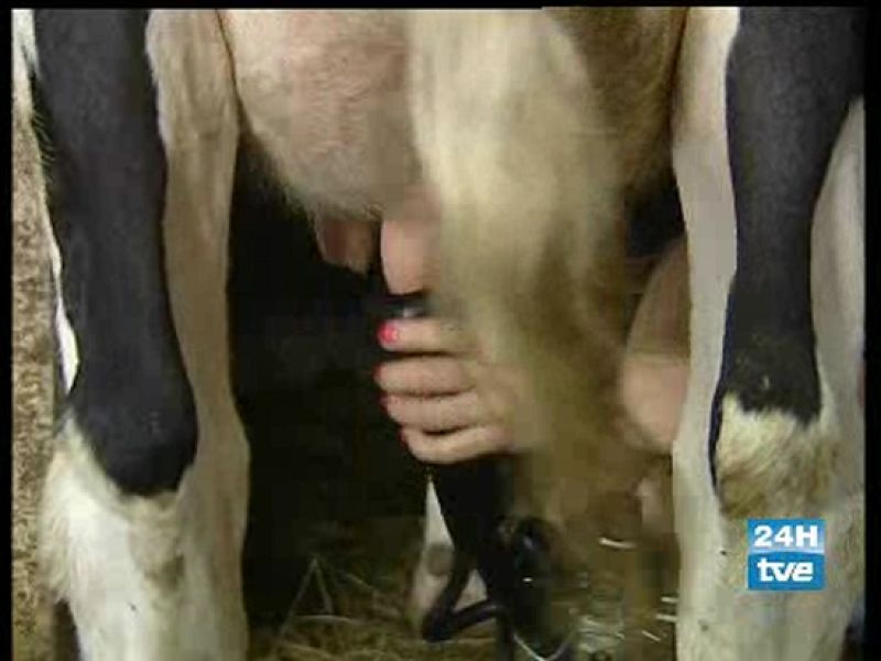 Agricultores esperan que el Gobierno evite la reducción de ayudas agrarias