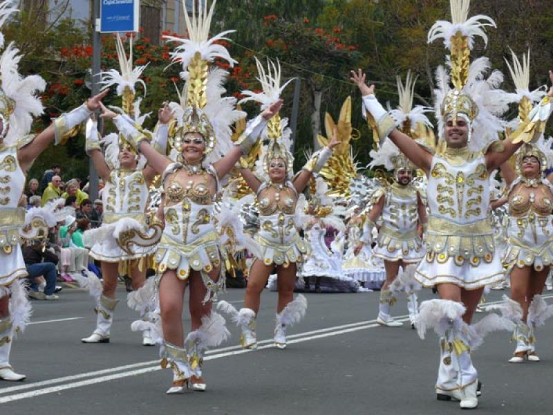 Coso del Carnaval de Santa Cruz de Tenerife 2013