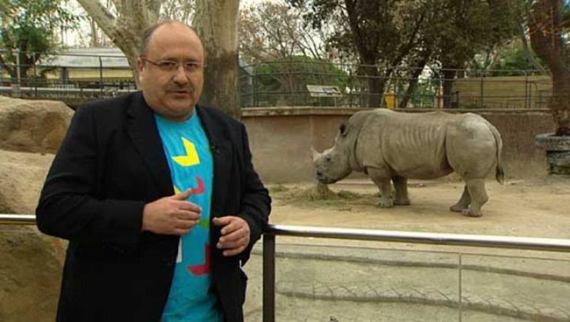 La història del zoo de Barcelona al programa "Moments"