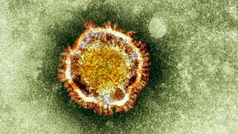 Muere la sexta víctima en el mundo por un nuevo virus, la primera en Europa