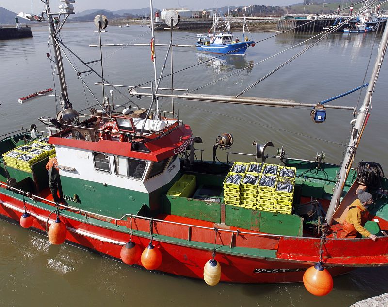 Entra en vigor el "carné por puntos" para los pescadores, capitanes o patrones de barco