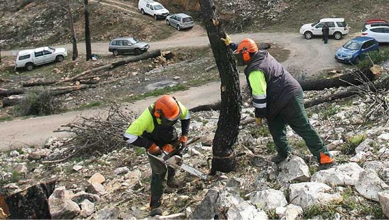 Medio Ambiente destina 15 millones para reparar los daños de los incendios de 2012