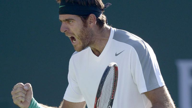 Del Potro remonta frente a Djokovic y se mete en la final de Indian Wells