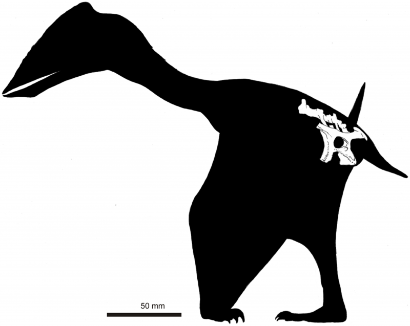 Un dinosaurio que vivió hace 115 millones de años, bautizado con el nombre de la niña que lo encontró