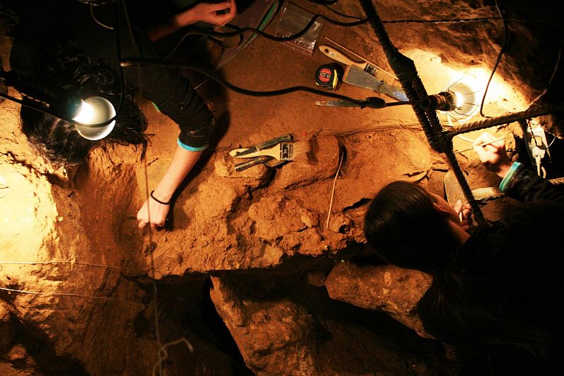 Los científicos precisan la antigüedad de los neandertales de El Sidrón, en Asturias
