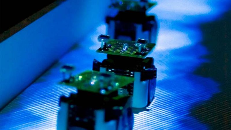 Robots-hormiga que se comportan como sus congéneres animales