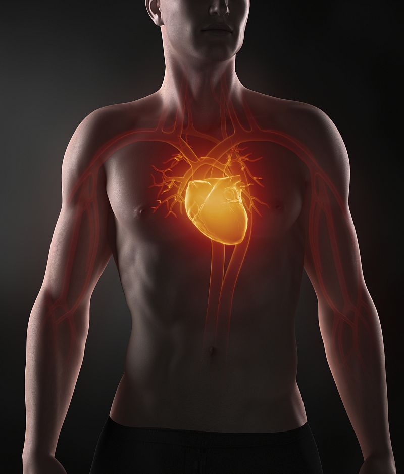 Solo dos de cada 1.000 españoles tienen un estado de salud cardiovascular ideal
