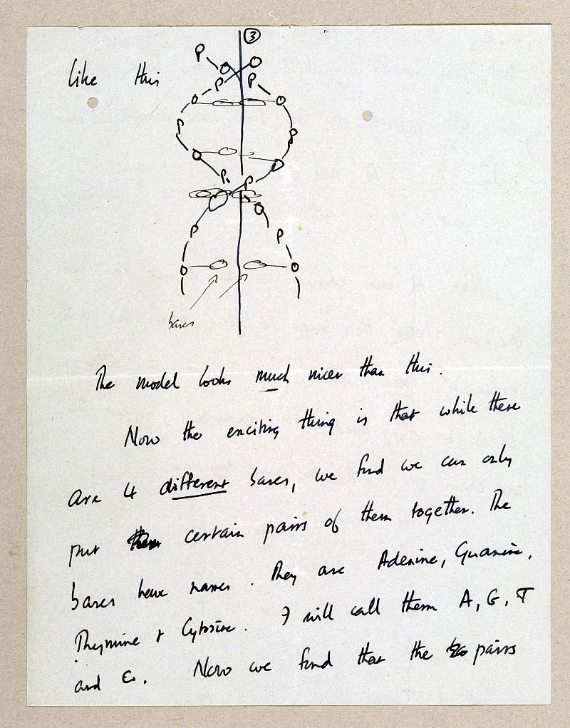 La estructura del ADN, la llave del secreto de la vida, cumple 60 años