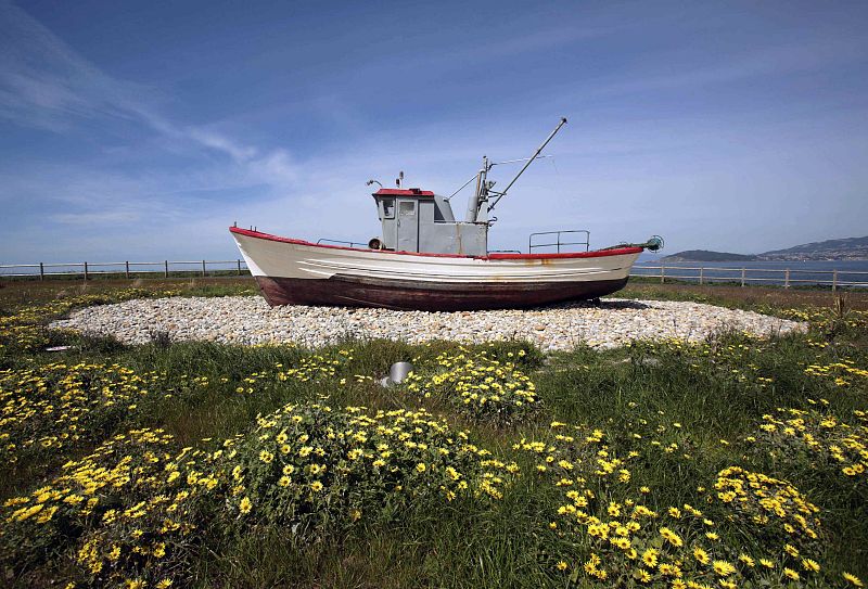 La CNMV propone a Deloitte como administrador concursal de Pescanova