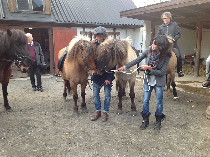 El sueño de Morfeo, de Asturias a los frondosos bosques de Esconia