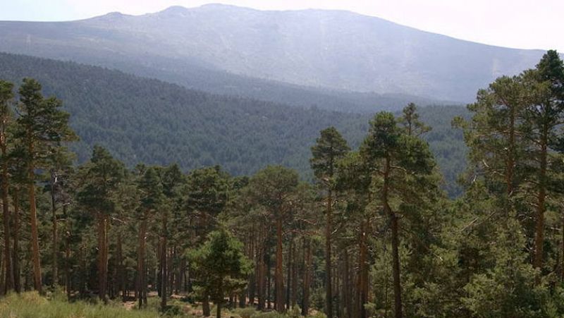 España se convierte en segundo país del mundo con más reservas de la biosfera
