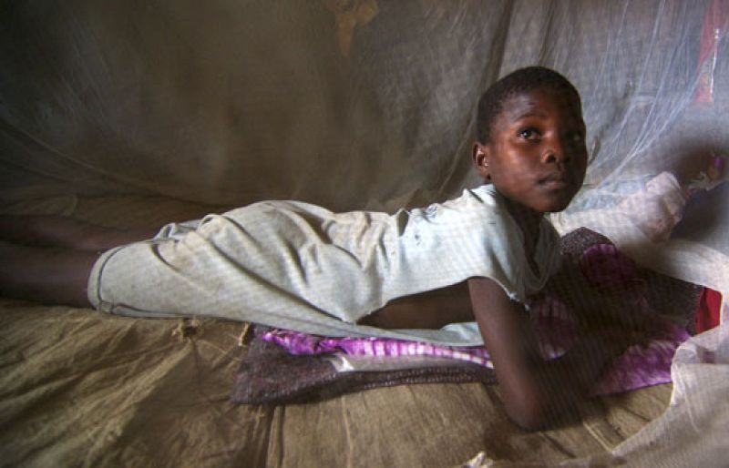 La lucha contra la malaria gana el Príncipe de Asturias de Cooperación Internacional