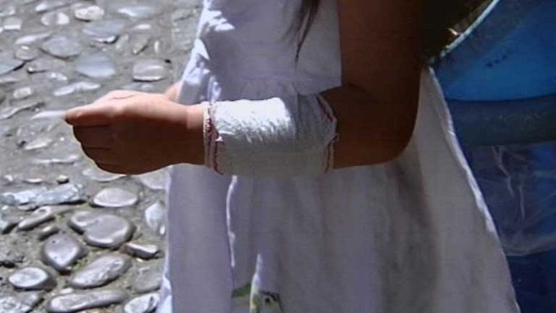 Un niño herido grave y otros dos leves al ser atacados por un perro pitbull