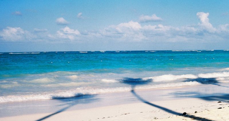 ¿Por qué se forman olas en el mar?