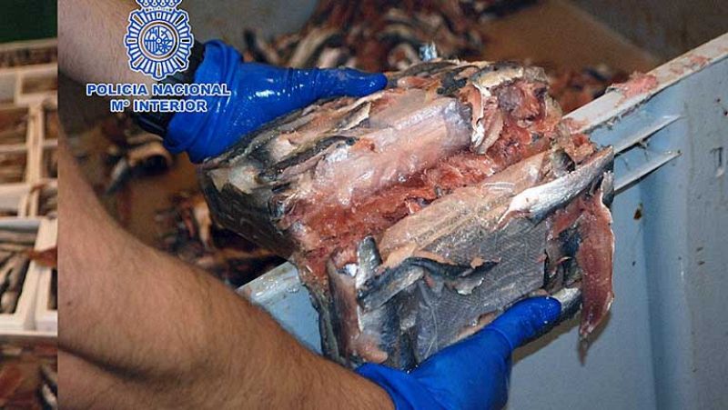 Desmantelada una organización que introducía hachís oculto en sardinas congeladas
