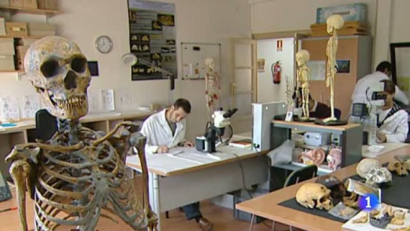 El CSIC augura un "cataclismo" de la institución si no consigue 75 millones de euros