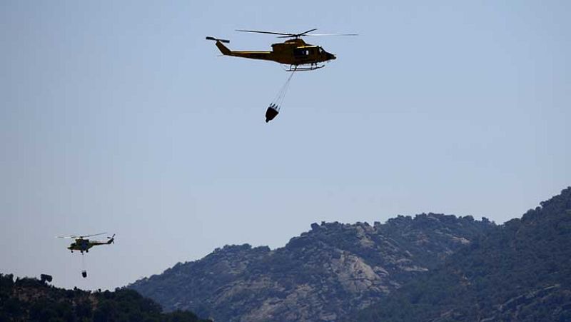 Controlado el incendio de Ávila que ha quemado unas mil hectáreas de pino