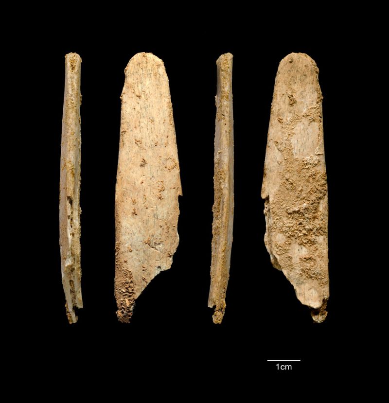 Hace 50.000 años los neandertales ya fabricaban herramientas que se usan hoy en día
