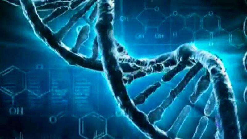 Científicos identifican las mutaciones genéticas que generan los 30 cánceres más comunes