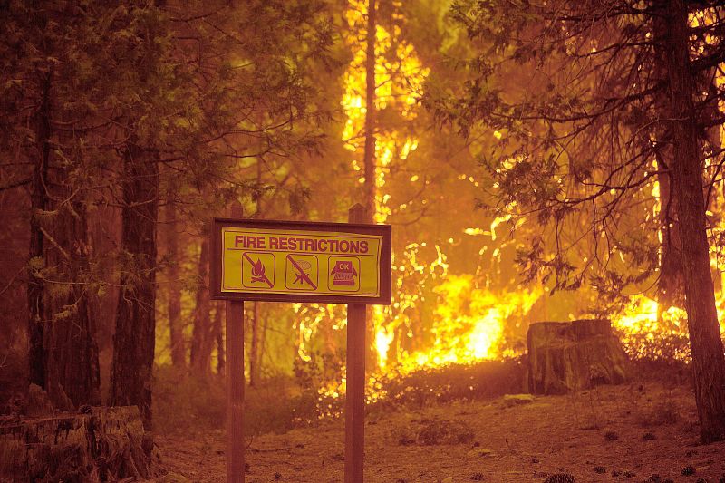 Un incendio quema más de 4.000 hectáreas del parque de Yosemite