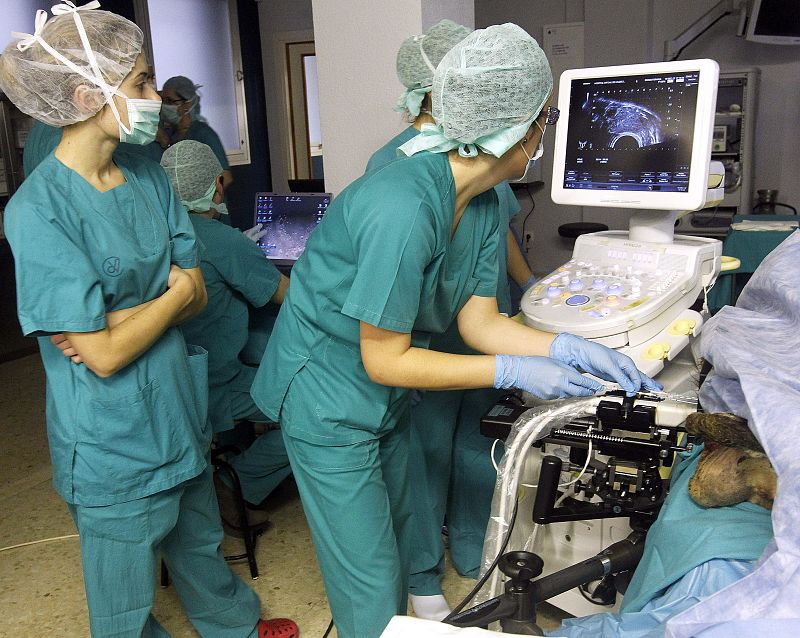 Las listas de espera para operarse en la sanidad pública suben de 76 a 100 días en seis meses