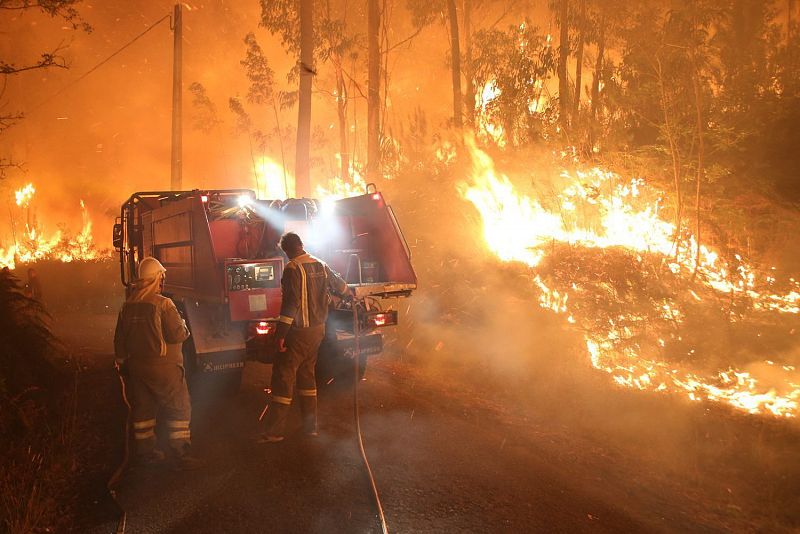 Los incendios han arrasado este verano cerca de 11.000 hectáreas en Galicia