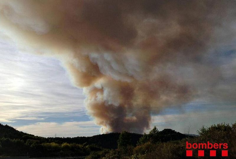 Estabilizado el incendio de Tivissa en Tarragona, que ha quemado 150 hectáreas