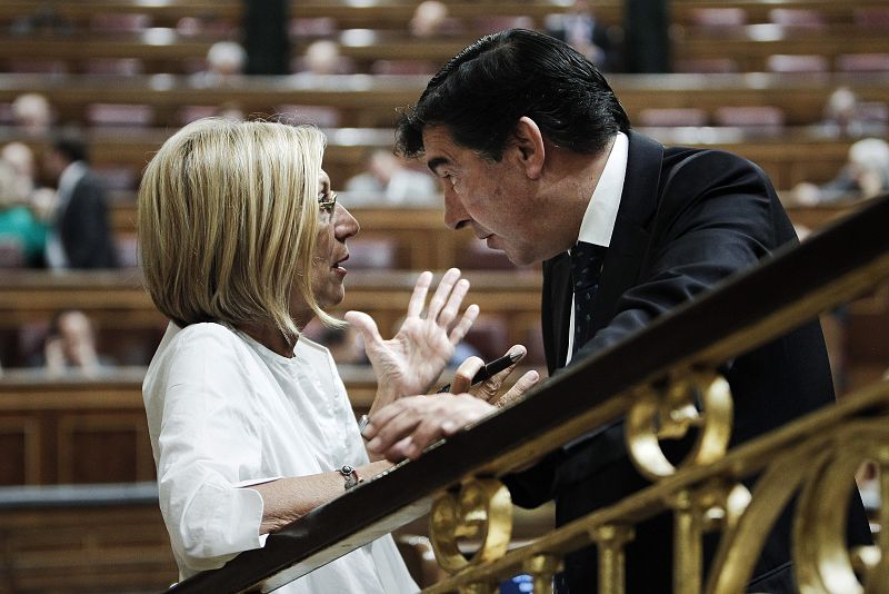 UPyD pide que el Gobierno regule en seis meses la Corona y el papel del Príncipe