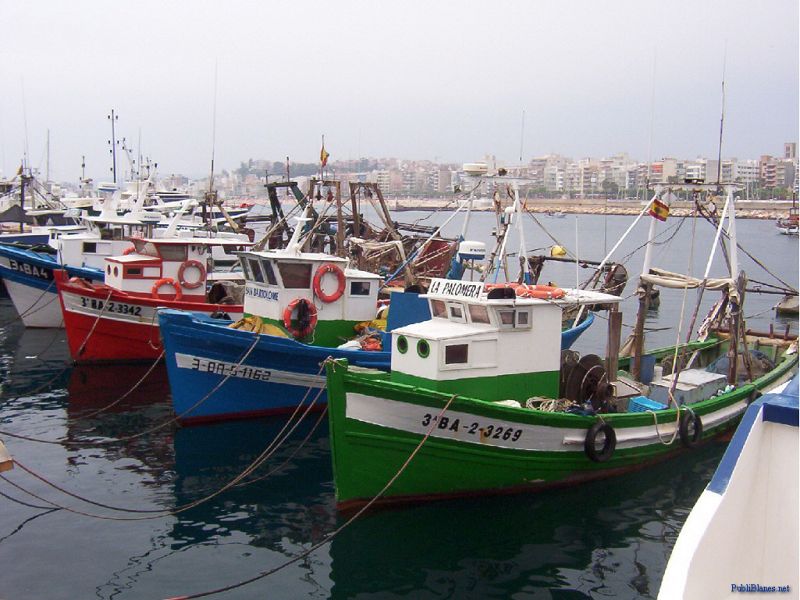 Aprobado el nuevo acuerdo de pesca de la UE con Mauritania, que perjudica la captura del pulpo