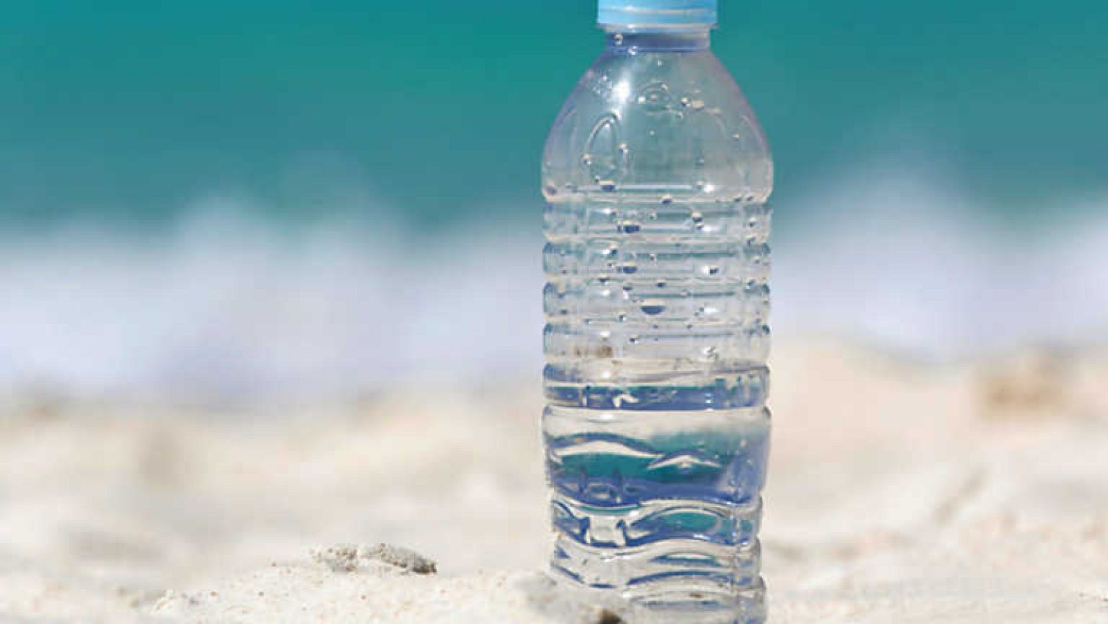 El escarabajo verde - Sorbos de mar - ver ahora