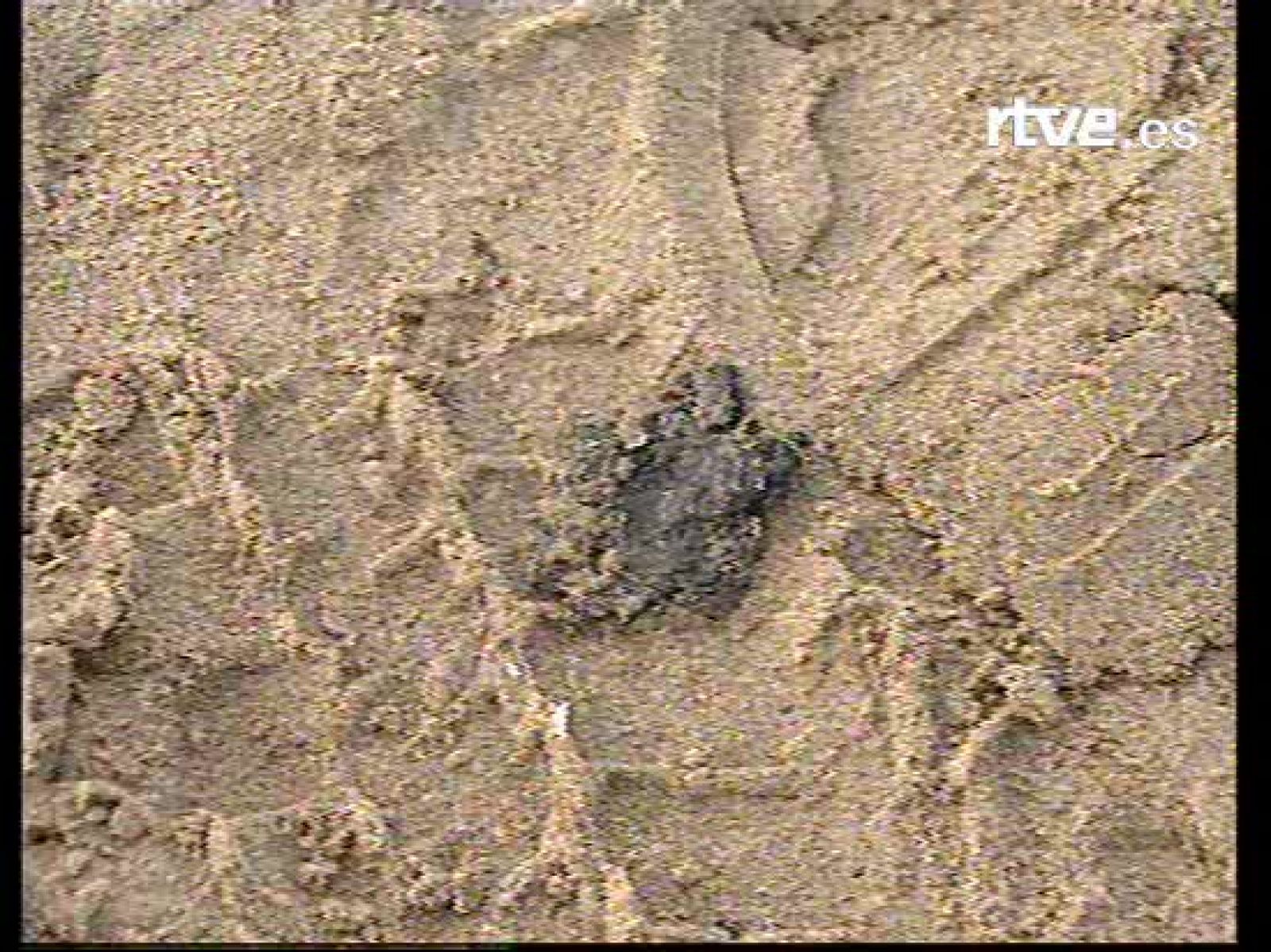 El vertido de fuel detectado ayer ha llegado ya a las playas de Valencia y se ha iniciado la recogida de las primeras 'galletas'.