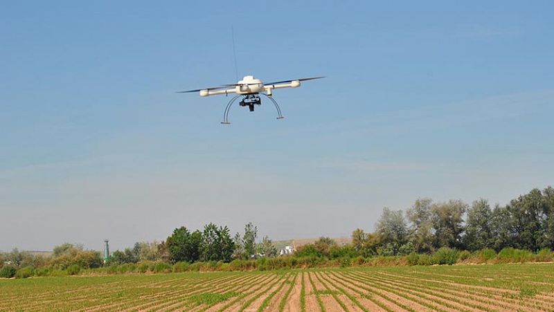 Drones que vigilan el crecimiento de las malas hierbas en los cultivos