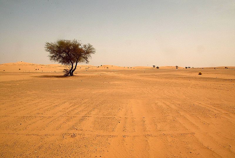 Al menos 35 migrantes nigerinos mueren deshidratados en el desierto