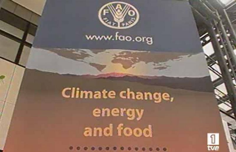 Los países de la cumbre de la FAO donarán 5.500 millones de euros