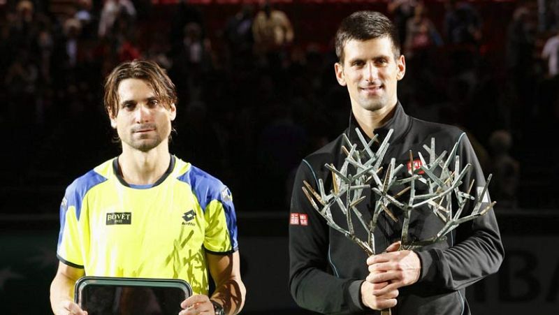 Un valiente Ferrer sucumbe ante Djokovic en París