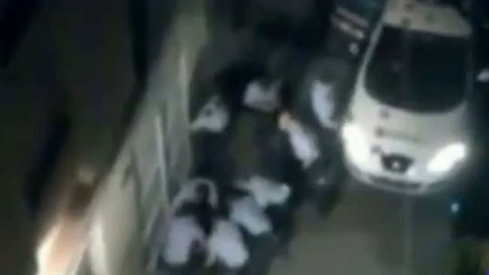 Una testigo borró imágenes de la detención del empresario fallecido ante una mosso