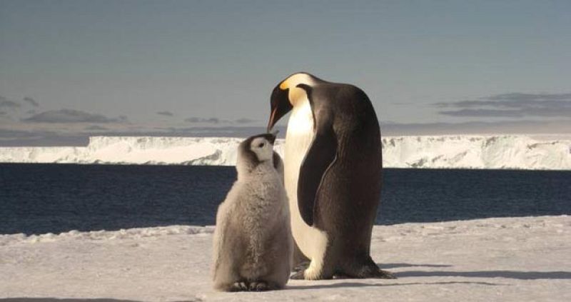 La cumbre del clima de Varsovia arranca para acercar posiciones en la reducción de gases