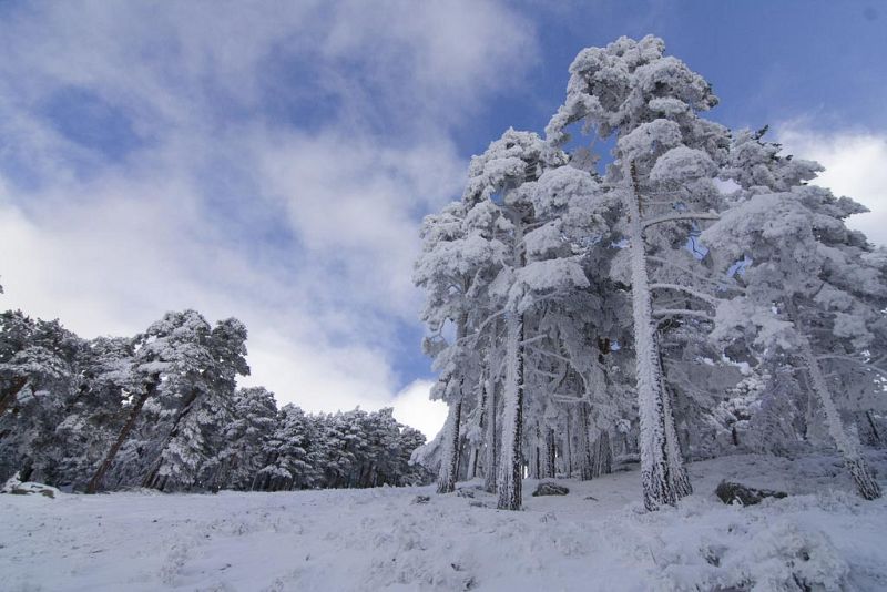 ¿Por qué la nieve es blanca si el hielo es transparente?